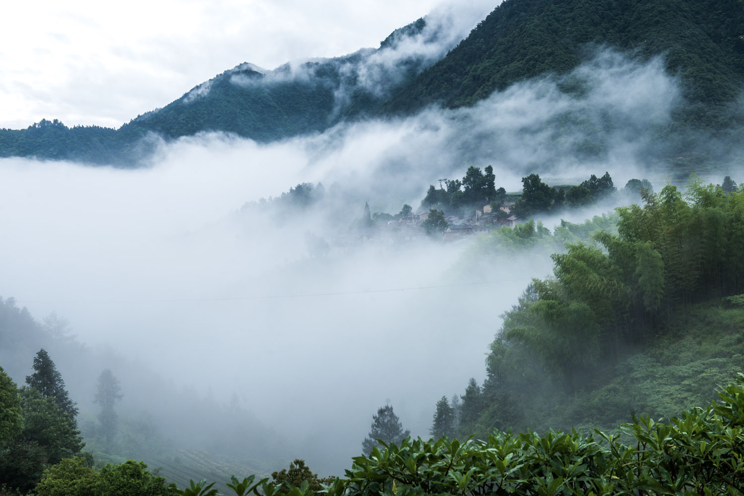 _PAN9072-4.jpg
