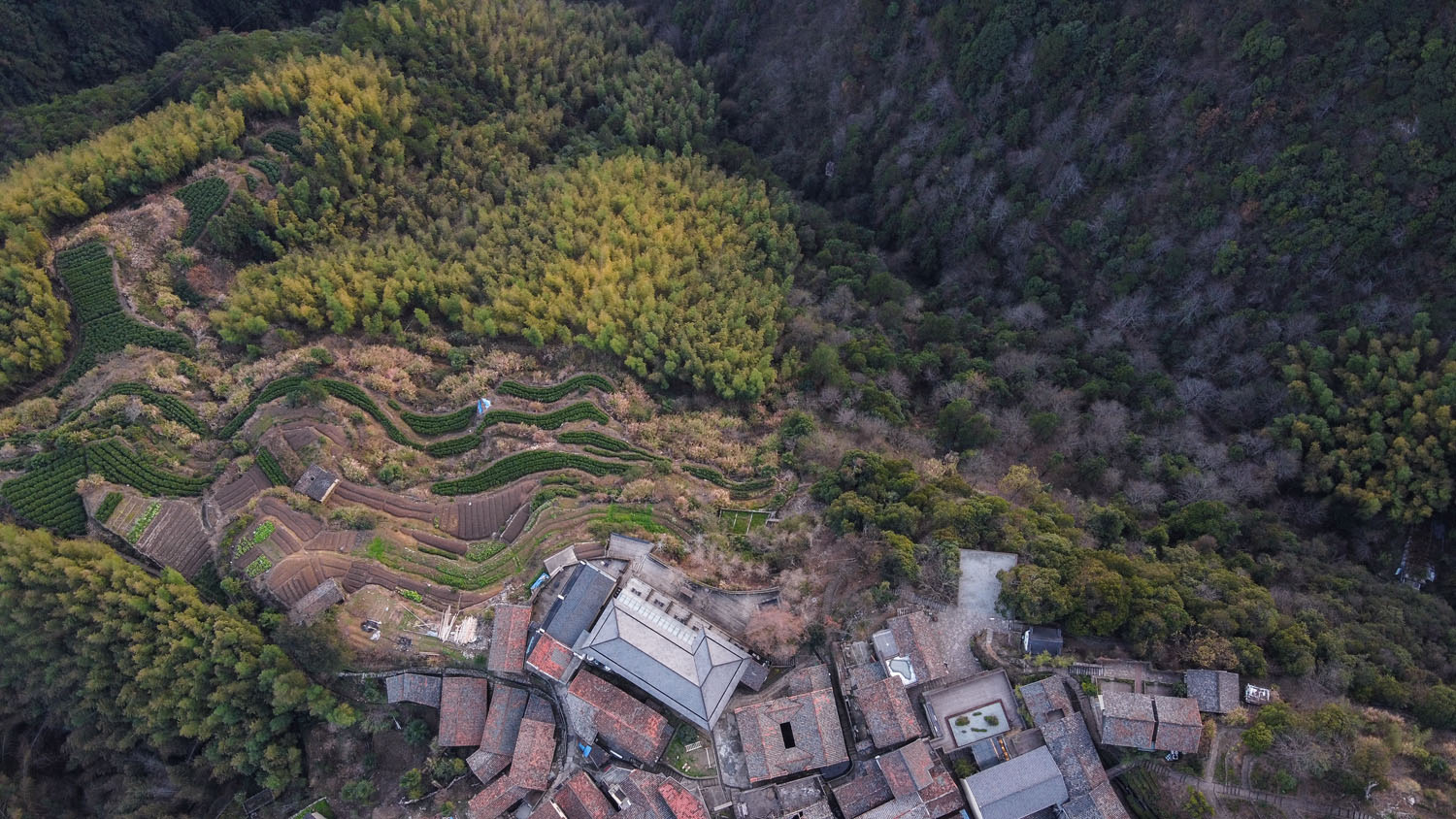 DJI_0279.jpg
