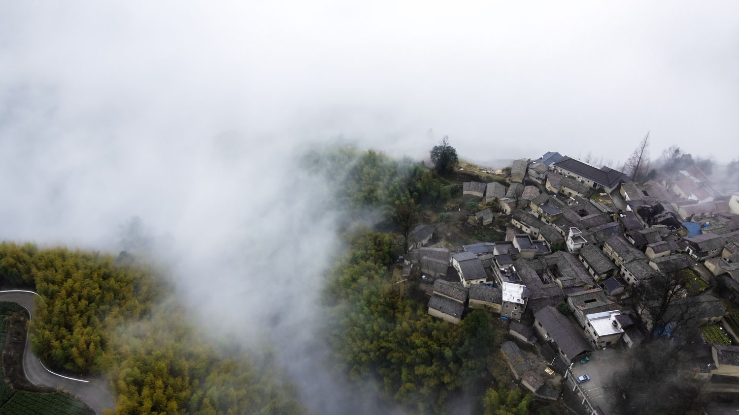 DJI_0635.jpg