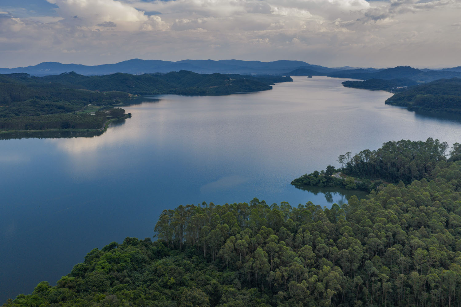 DJI_20251004152733_0591_D-1.jpg