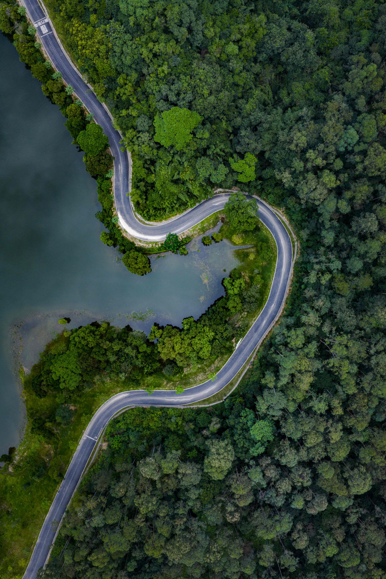 DJI_20251004152536_0588_D-1.jpg