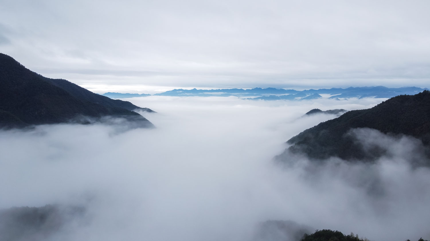 DJI_0642.jpg